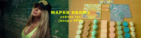 сатива Аркадак