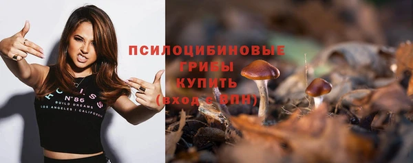 соль курить ск Нея