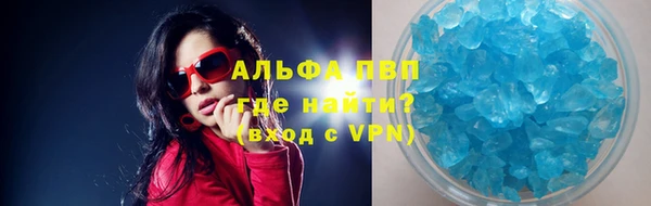 сатива Аркадак