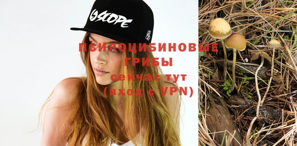 герыч Арсеньев