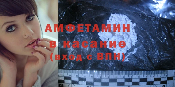 сатива Аркадак
