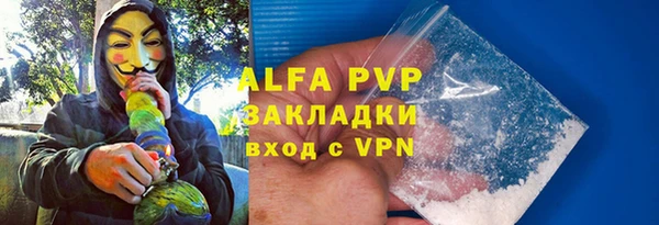 сатива Аркадак