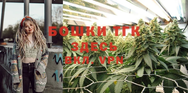 герыч Арсеньев